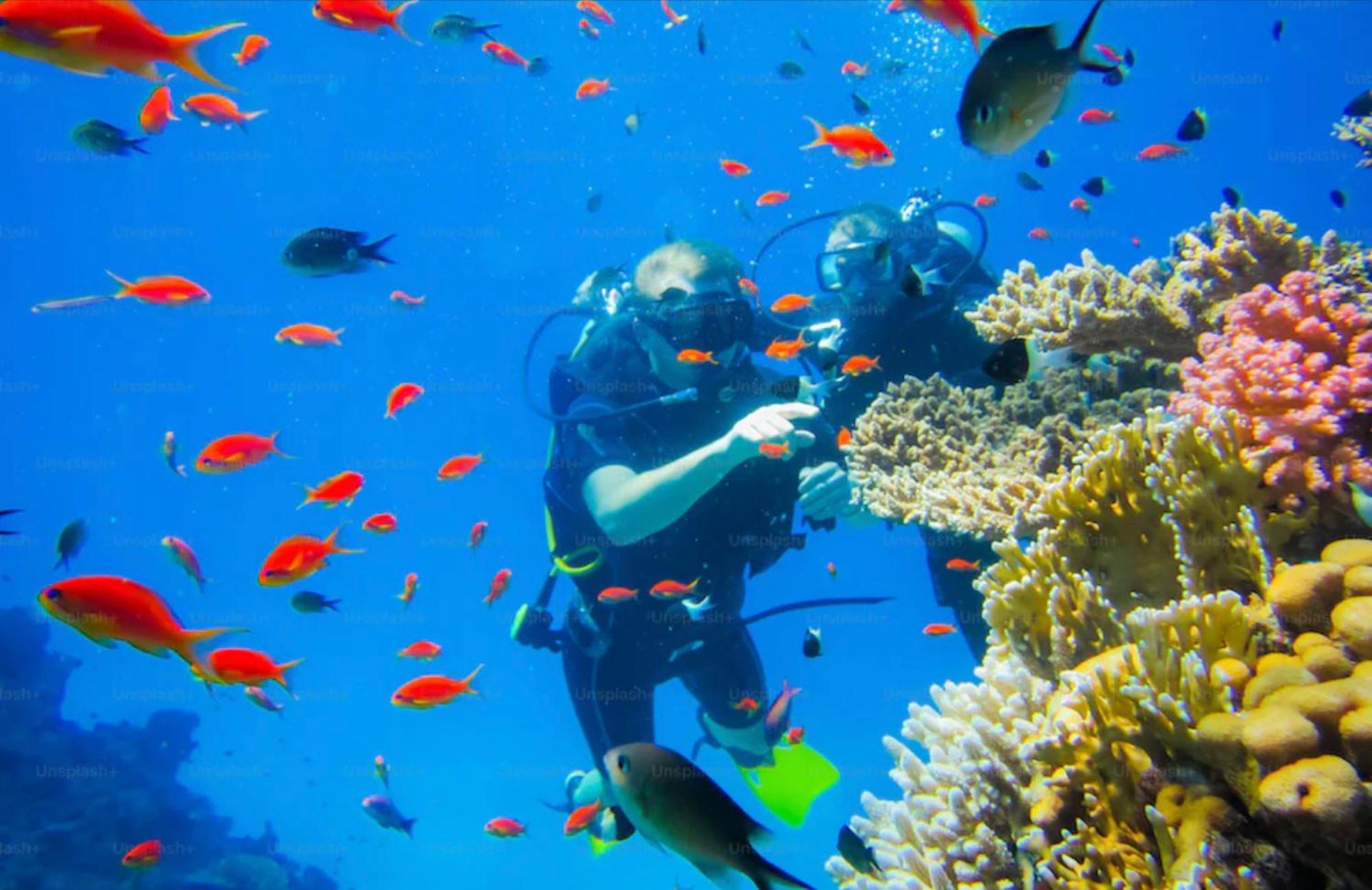 Lobster Bay Lombok Hotel Awang Bagian luar foto